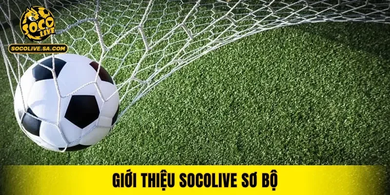 Giới thiệu SOCOLIVE sơ bộ